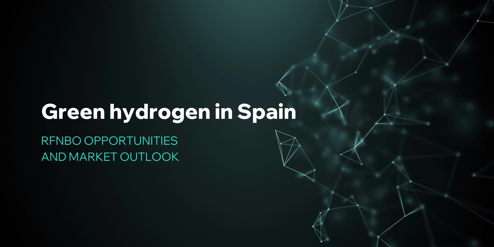 Green hydrogen in Spain: RFNBO opportunities and market outlook